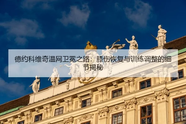 de-yue-ke-wei-qi-wen-wang-wei-mian-zhi-lu-xi-shang-hui-fu-yu-xun-lian-tiao-zheng-de-xi-jie-jie-mi-3-268.jpg