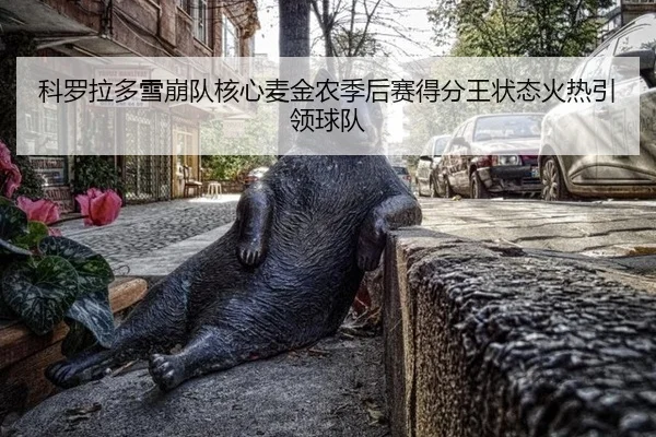 科罗拉多雪崩队核心麦金农季后赛得分王状态火热引领球队